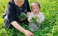 2018夜夜干天天天爽